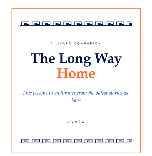 The Long Way Home Ebook